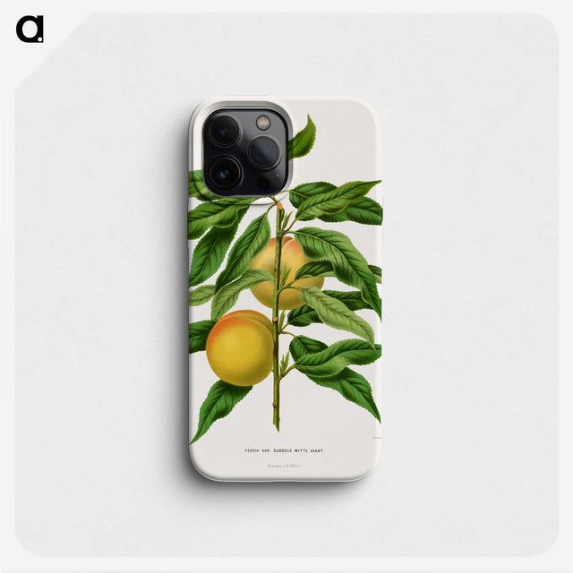 1-79_Nederlandsche-Flora-en-Pomona_phone