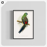 1-79_Parrots-in-Captivity_blk-crop