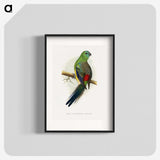 1-79_Parrots-in-Captivity_blk