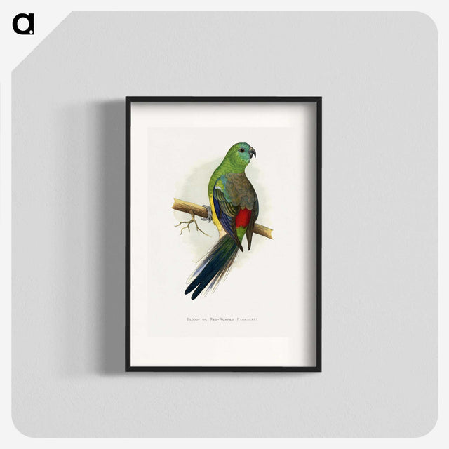 1-79_Parrots-in-Captivity_blk