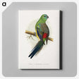 1-79_Parrots-in-Captivity_canvas