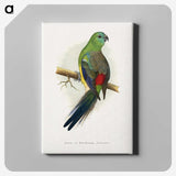 1-79_Parrots-in-Captivity_canvas