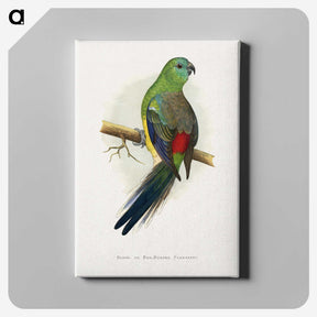 1-79_Parrots-in-Captivity_canvas