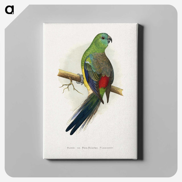 1-79_Parrots-in-Captivity_canvas