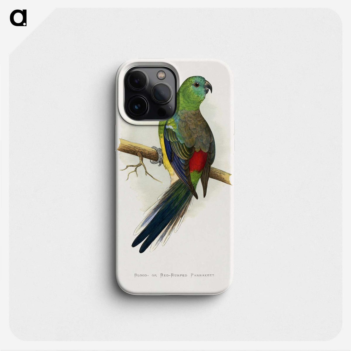 1-79_Parrots-in-Captivity_phone
