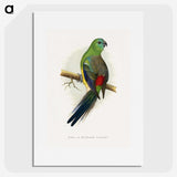 1-79_Parrots-in-Captivity_picture