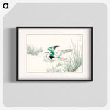 アートポスター-Eastern Grey Heron Illustration
 - 鳥類図鑑 Poster.