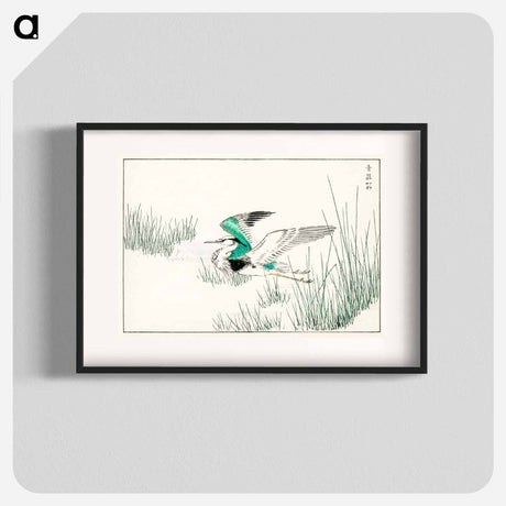 アートポスター-Eastern Grey Heron Illustration
 - 鳥類図鑑 Poster.