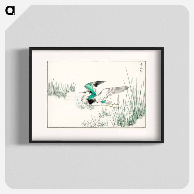アートポスター-Eastern Grey Heron Illustration
 - 鳥類図鑑 Poster.