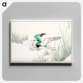 アートパネル-Eastern Grey Heron Illustration
 - 鳥類図鑑 Canvas.