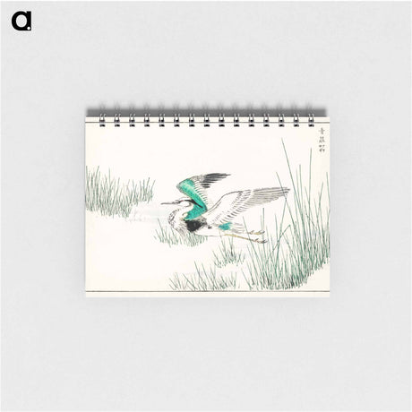 アートメモ帳-Eastern Grey Heron Illustration
 - 鳥類図鑑 Memo.