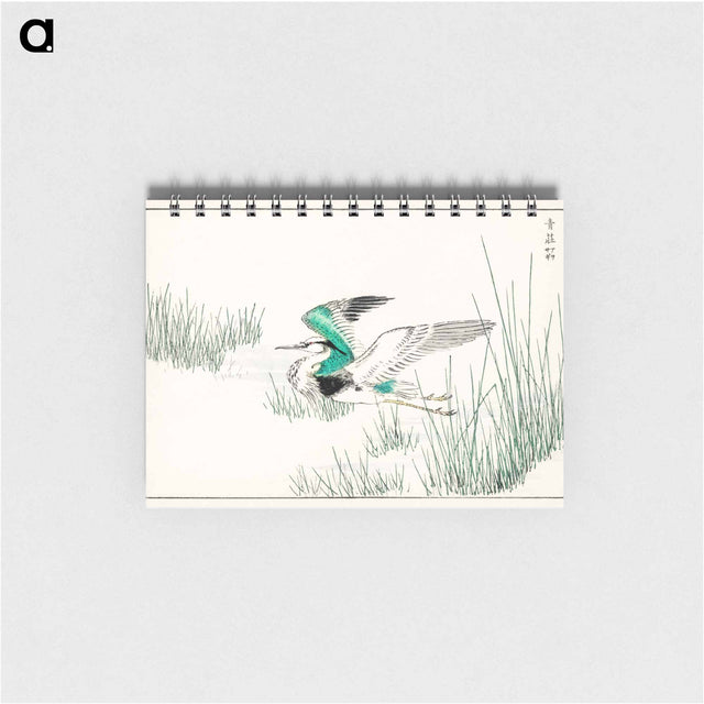 アートメモ帳-Eastern Grey Heron Illustration
 - 鳥類図鑑 Memo.