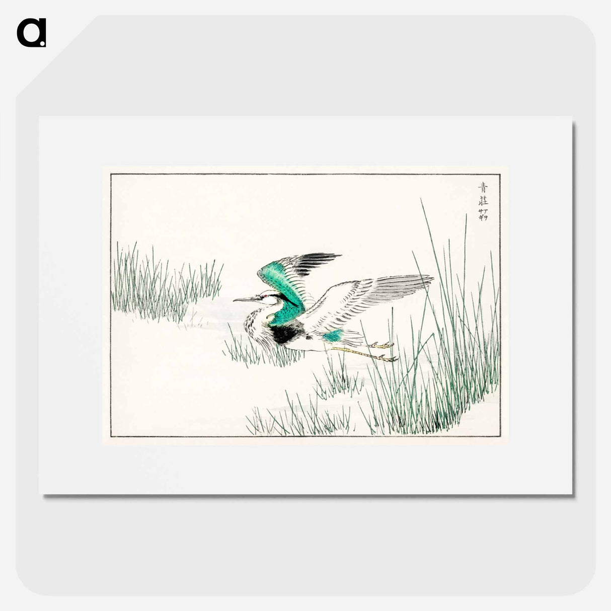 アートポスター-Eastern Grey Heron Illustration
 - 鳥類図鑑 Poster.