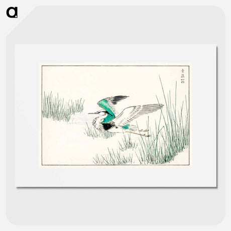 アートポスター-Eastern Grey Heron Illustration
 - 鳥類図鑑 Poster.