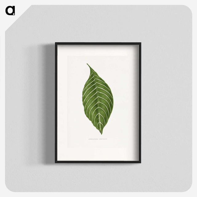 1-79_Plants-with-Colored-Foliage_blk