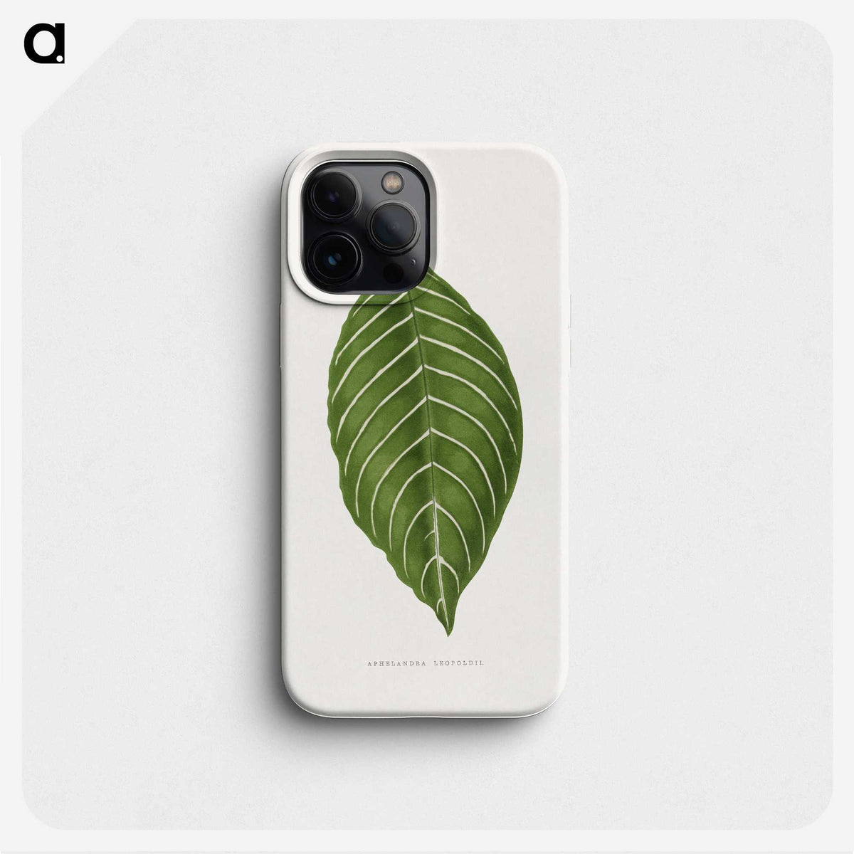 1-79_Plants-with-Colored-Foliage_phone