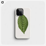 1-79_Plants-with-Colored-Foliage_phone
