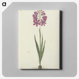 1-79_Robert-Jacob-Gordon_canvas