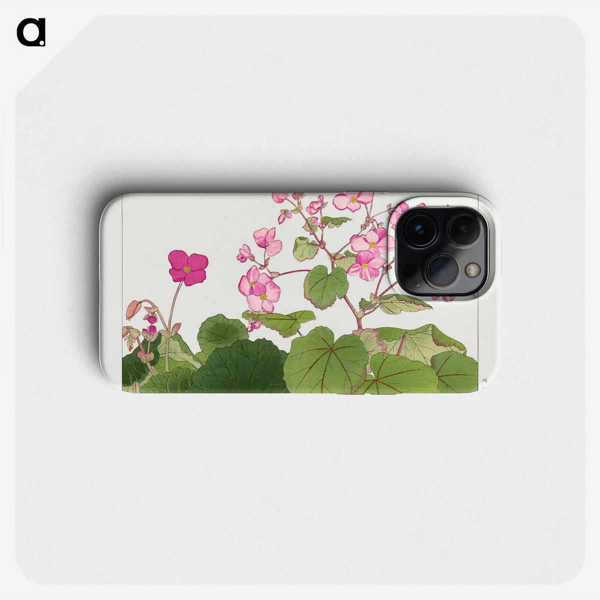 1-79_Seiyo-Soka-Zufu_phone