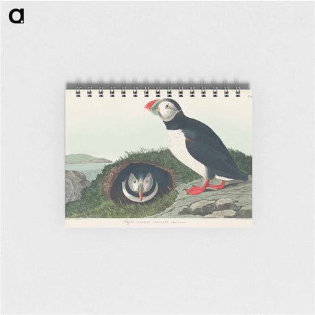 アートメモ帳-Puffin from Birds of America
 - アメリカの鳥たち Memo.