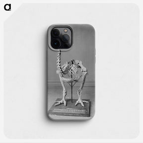 1-79_The-Burton-Brothers_phone