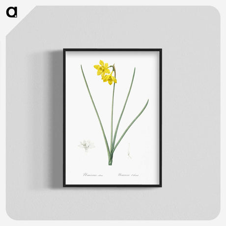 1-79_The-Lilies_blk-crop