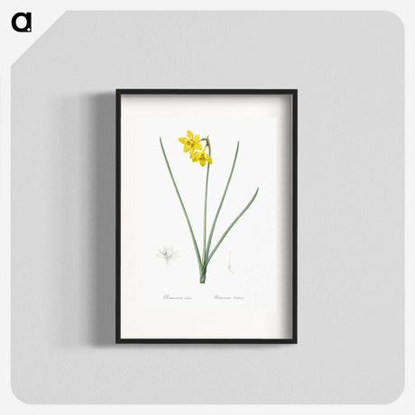 1-79_The-Lilies_blk