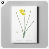 1-79_The-Lilies_canvas