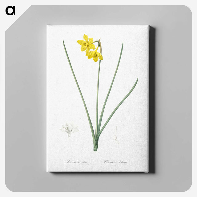 1-79_The-Lilies_canvas