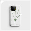 1-79_The-Lilies_phone
