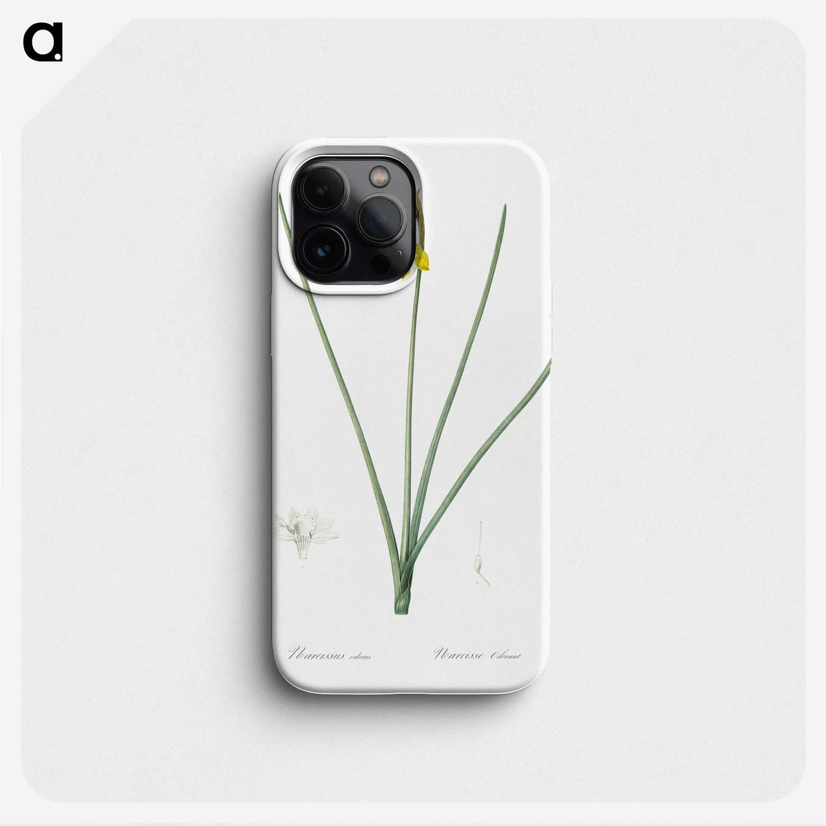 1-79_The-Lilies_phone