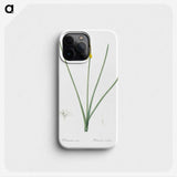 1-79_The-Lilies_phone