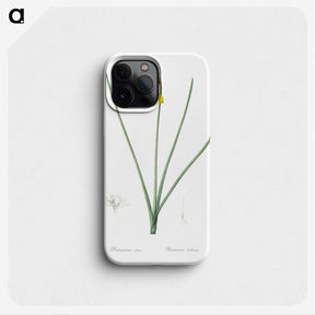 1-79_The-Lilies_phone