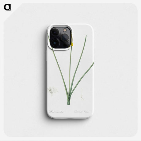 1-79_The-Lilies_phone