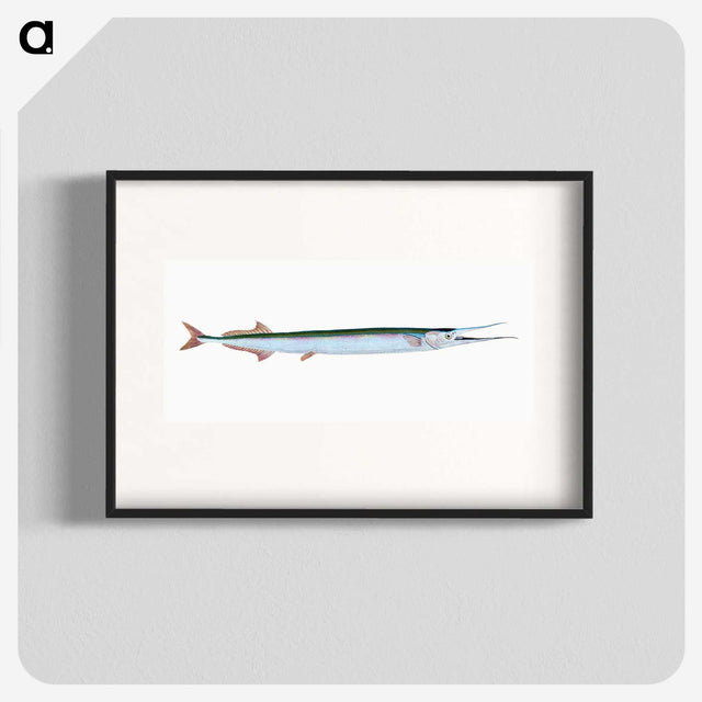 1-79_The-Natural-History-of-British-Fishes_blk