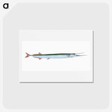 1-79_The-Natural-History-of-British-Fishes_hagaki