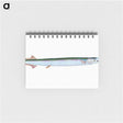 1-79_The-Natural-History-of-British-Fishes_memo