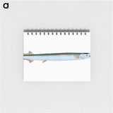 1-79_The-Natural-History-of-British-Fishes_memo