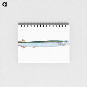 1-79_The-Natural-History-of-British-Fishes_memo