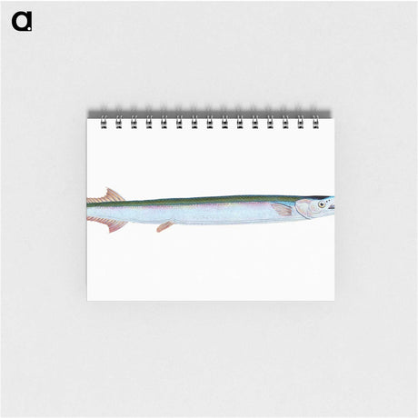 1-79_The-Natural-History-of-British-Fishes_memo