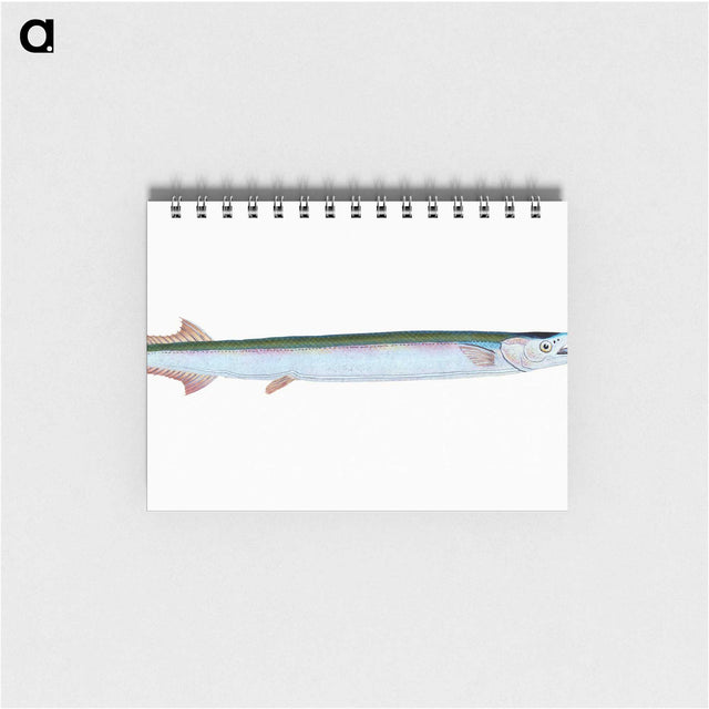 1-79_The-Natural-History-of-British-Fishes_memo