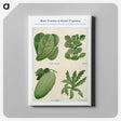 1-79_The-Open-Door-to-Independence_canvas