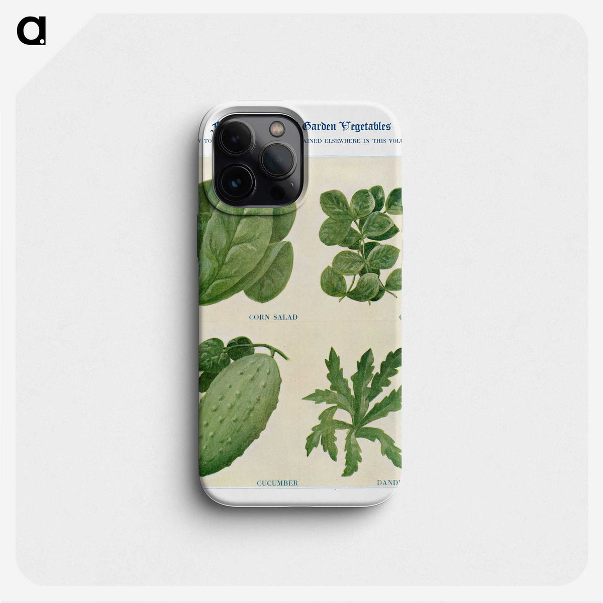 1-79_The-Open-Door-to-Independence_phone