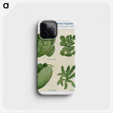 1-79_The-Open-Door-to-Independence_phone