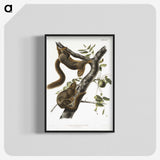 1-79_The-Viviparous-Quadrupeds_blk-crop