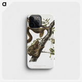 1-79_The-Viviparous-Quadrupeds_phone