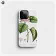 1-79_Treatise-on-Trees-and-Shrubs_phone