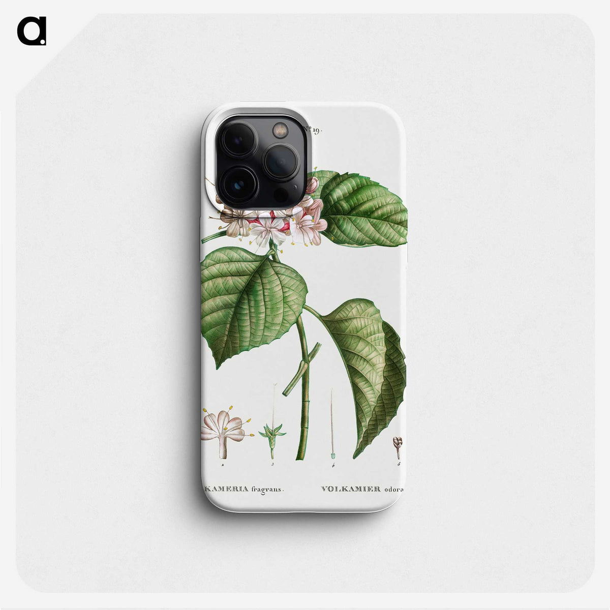 1-79_Treatise-on-Trees-and-Shrubs_phone