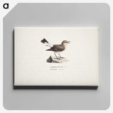 1-79_Wilhelm-von-Wright_canvas
