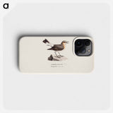 Female northern wheatear in spring - Wilhelm von Wright Phone Case.